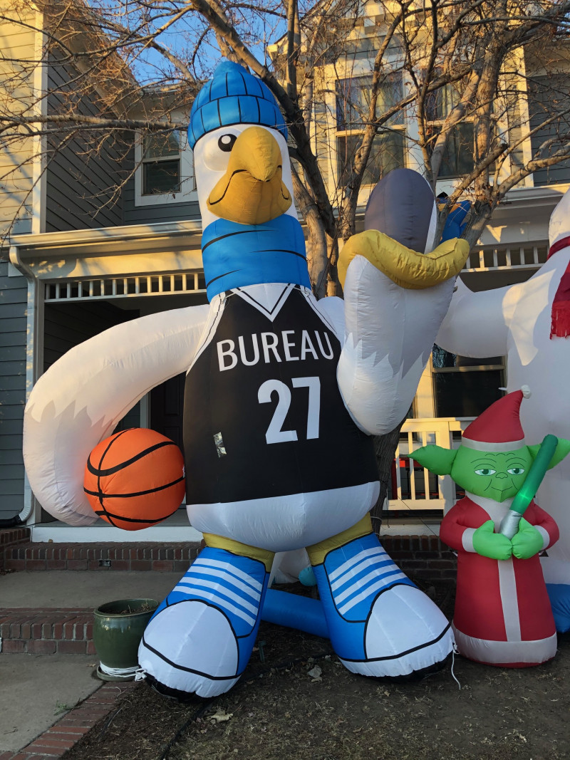 ACC20-1207 Arctic Seagulls – Custom Inflatable Arctic Seagulls - Custom Inflatable