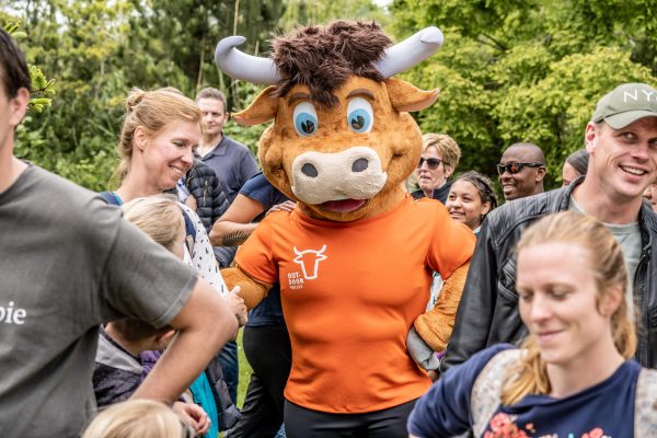 Bull mascot costume Stierenmascotte voor een sportevenement geproduceerd door Promo Bears