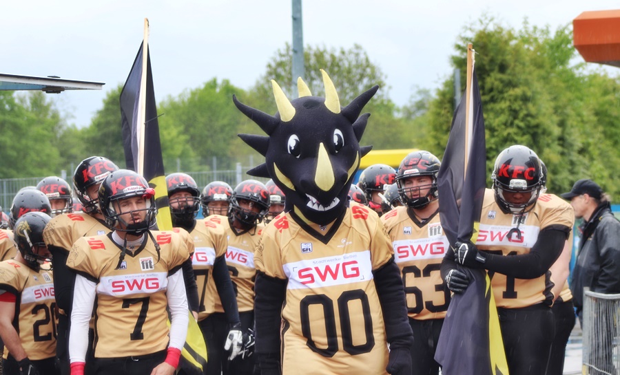 Custom-mascot-in-sports-11