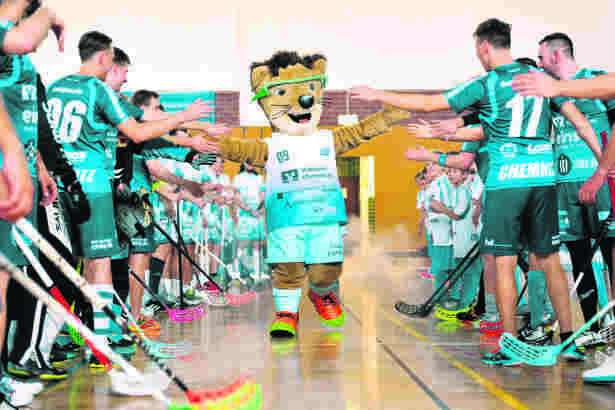 Custom-mascot-in-sports-8