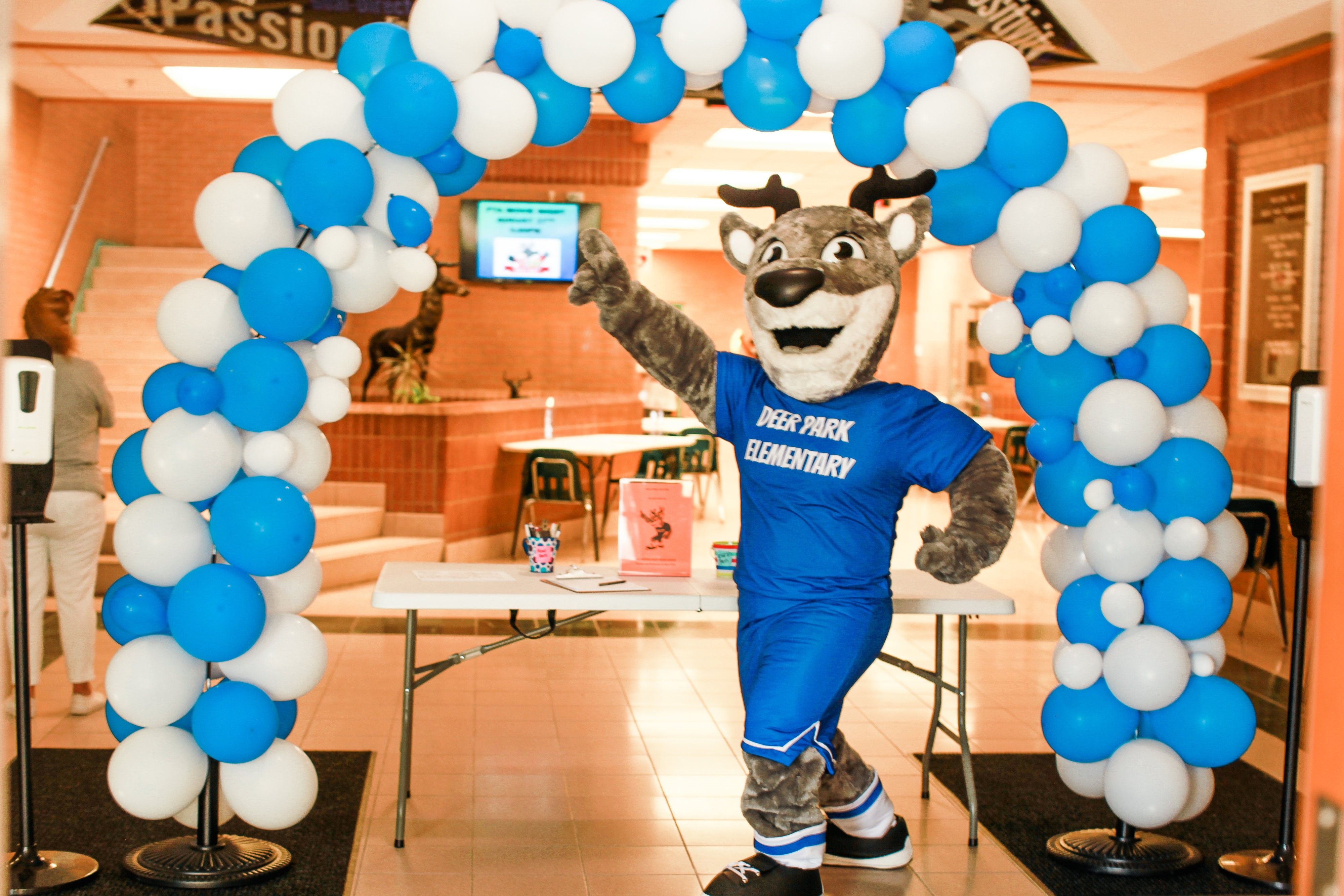 Deer Park Elementary – Bucky Mascot