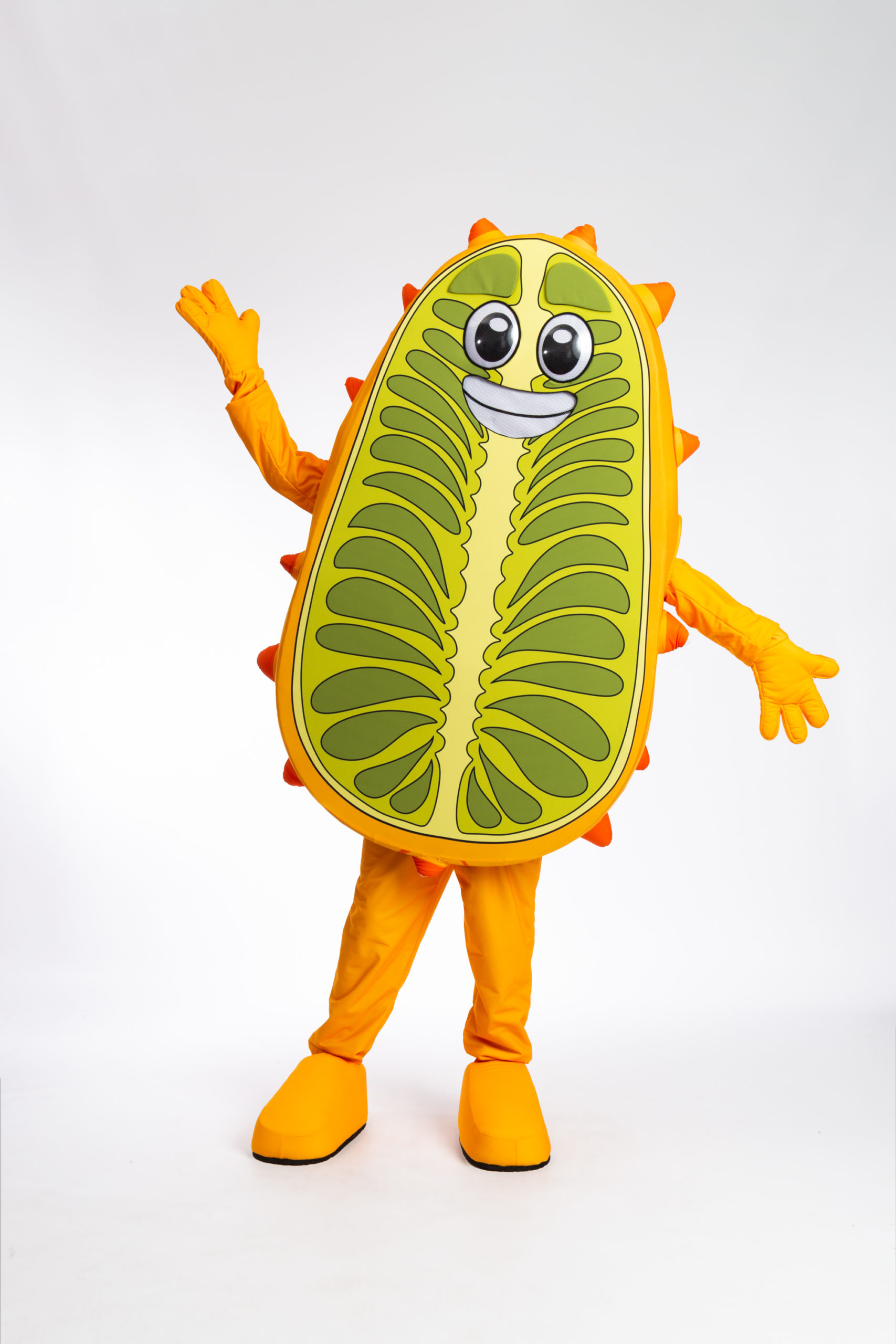 Fruit object mascot costume waving
