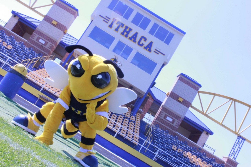 Ithaca High School – Yellow Jacket