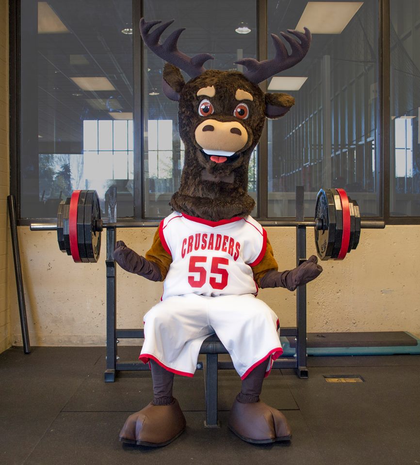 Northwest Nazarene University – Howard the Elk Mascot