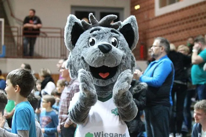Op maat gemaakte mascottekostuums zijn het topproduct van Promo Bears