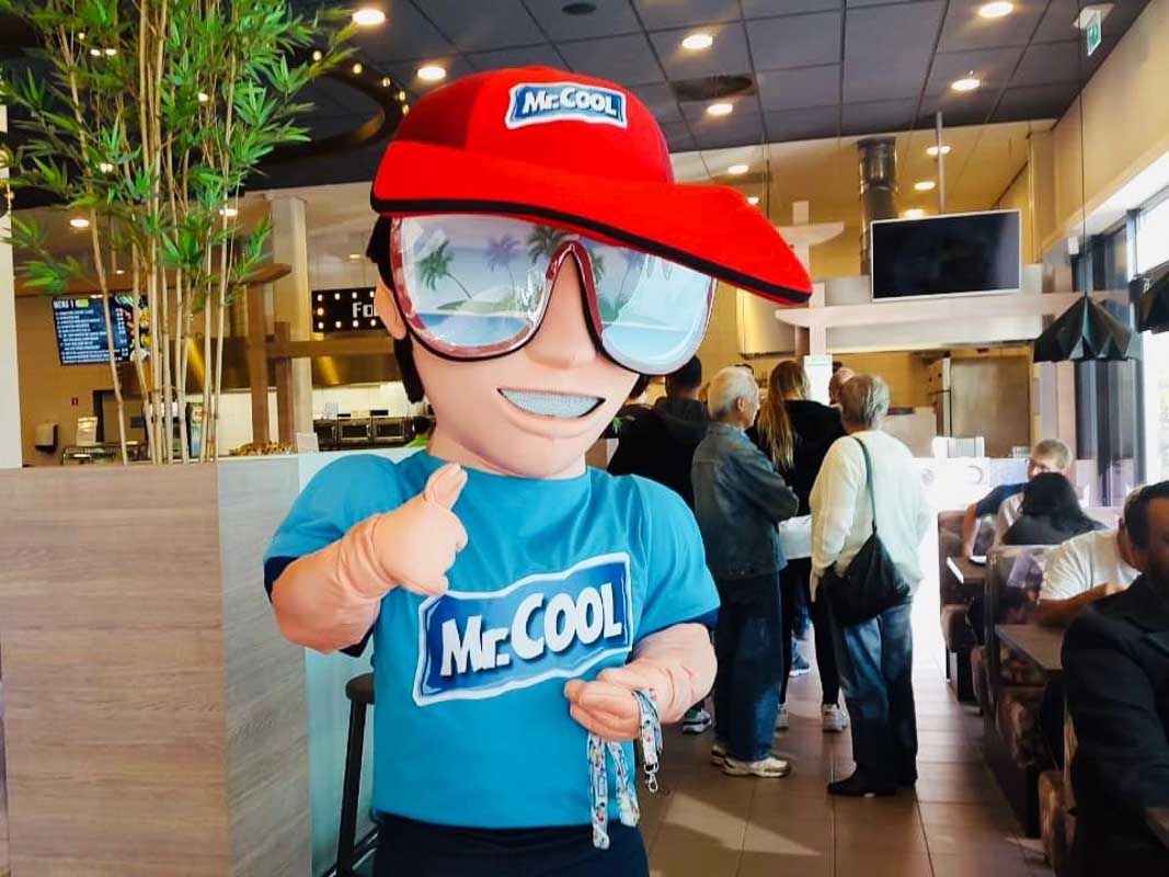 ACC18704 Mr-Cool mascotte – Safe B.V. – NL 2