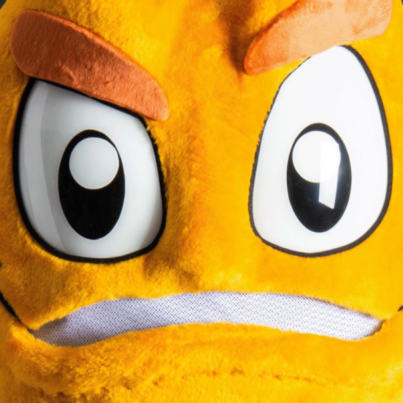 Mascotte_Pakken_op_maat4 Mascottes zijn gemaakt met realistische 3D-ogen waardoor ze er levendig en echt uitzien