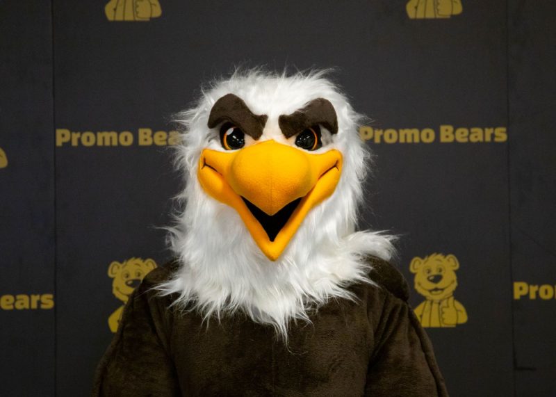 StockMascot_Eagle_Closeup